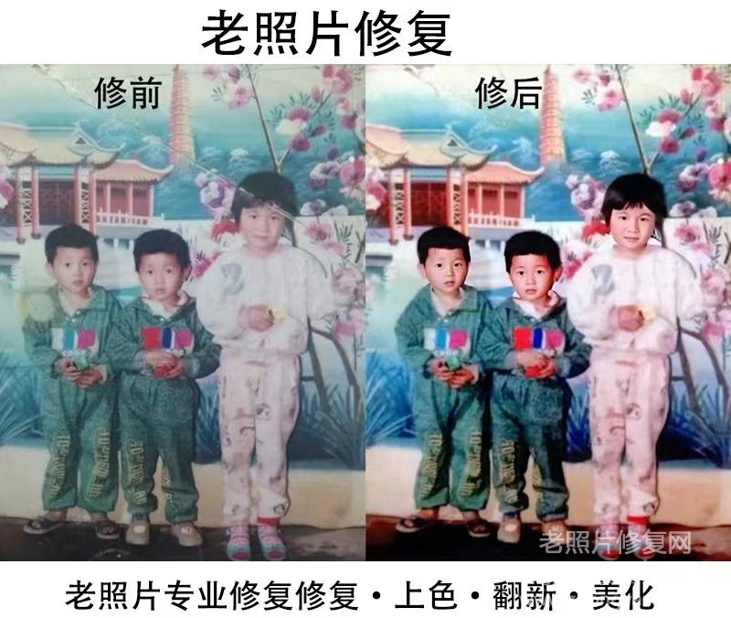 相紙的基本構造和使用注意事項